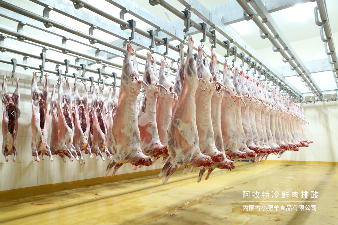 如何確保羊肉在冷鏈運(yùn)輸中保持新鮮？